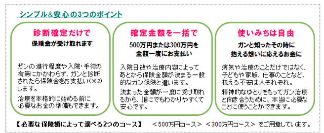 AV release_20121130_Hokkaido_Cancer-telema